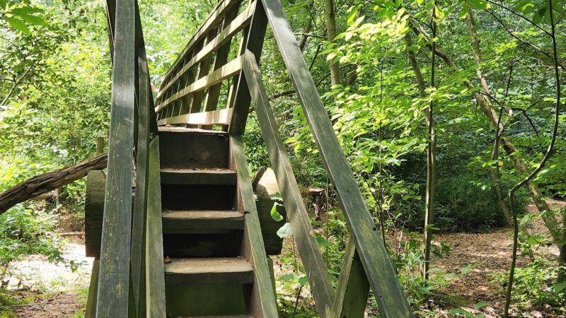 Pine Log Creek Trailhead - Rydal, GA