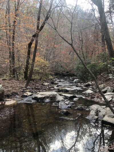 Pine Log Creek Trailhead - Rydal, GA