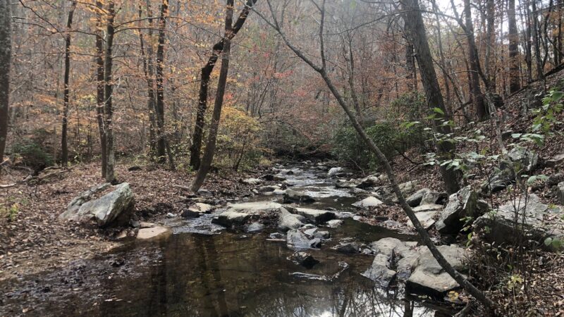Pine Log Creek Trailhead - Rydal, GA