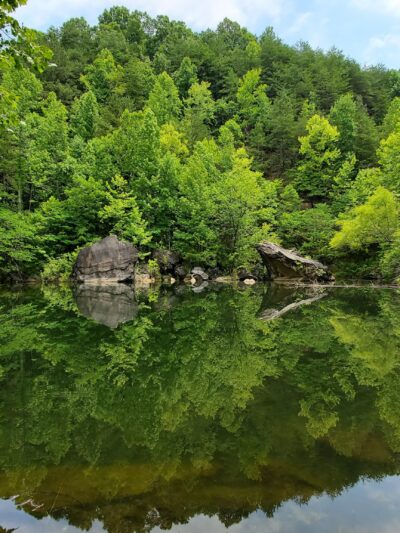 Pine Log Creek Trailhead - Rydal, GA