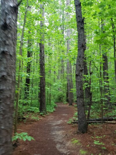 Pine Log Creek Trailhead - Rydal, GA