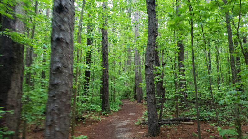 Pine Log Creek Trailhead - Rydal, GA