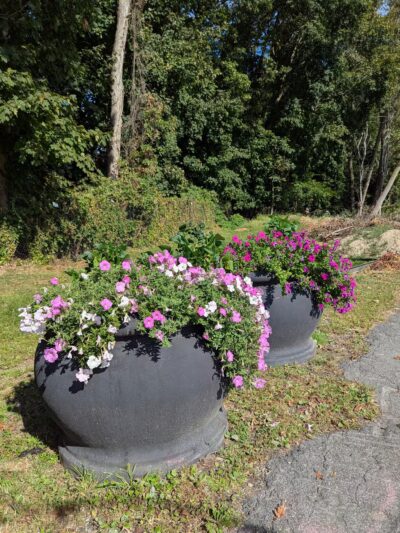 Dog beach parking - Rye, NY