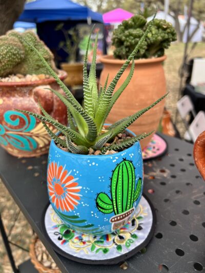 Sabinal Park - Sabinal, TX