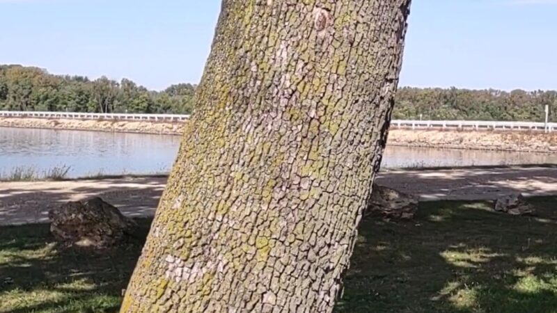 Driscoll's Island - Sabula, IA