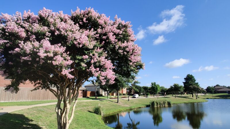 Dave Sanford Park - Sachse, TX