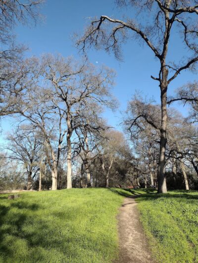 Arcade Creek Park - Sacramento, CA