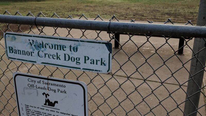 Bannon Creek Dog Park - Sacramento, CA