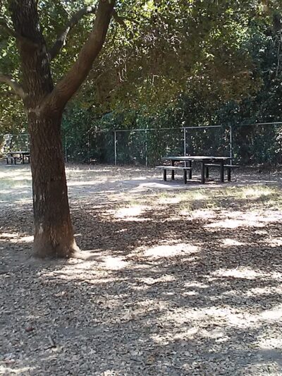 Bannon Creek Dog Park - Sacramento, CA