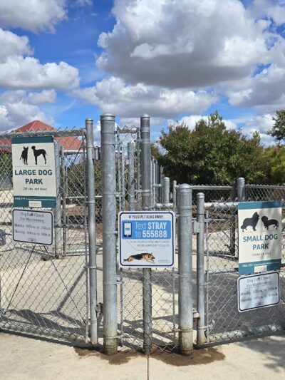 Big dog park - Sacramento, CA