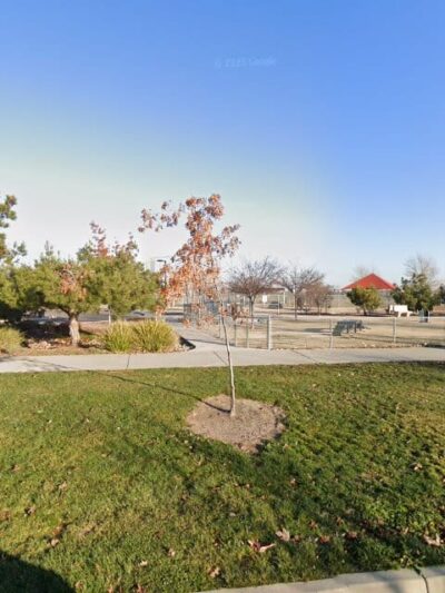 Big dog park - Sacramento, CA