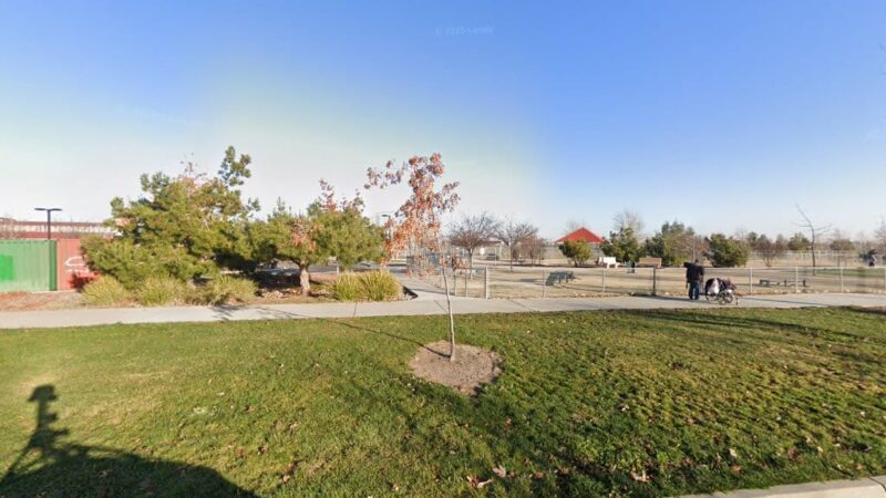 Big dog park - Sacramento, CA