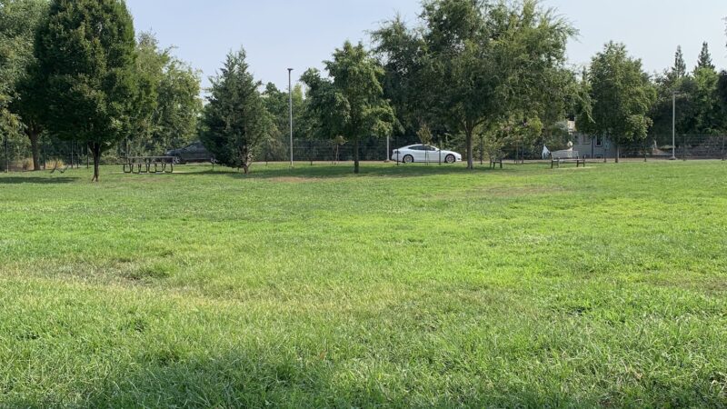 Bradshaw Off leash Dog park - Sacramento, CA