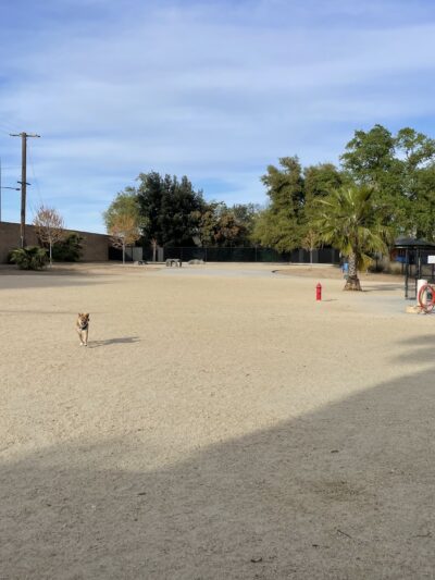 Cabana Dog Park - Sacramento, CA
