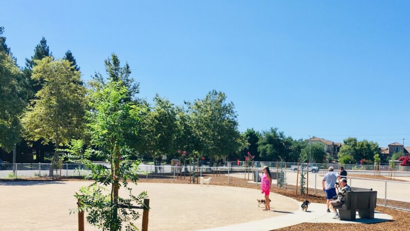 Dog Park | Barandas Park - Sacramento, CA