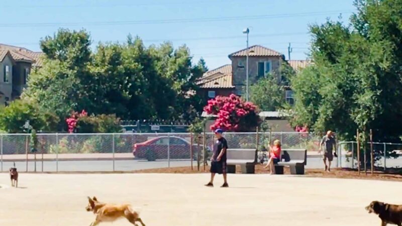 Dog Park | Barandas Park - Sacramento, CA
