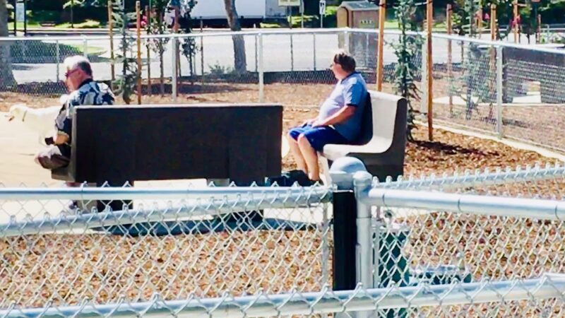 Dog Park | Barandas Park - Sacramento, CA