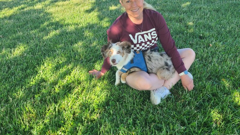 Dog Park - Regency Community Park - Sacramento, CA