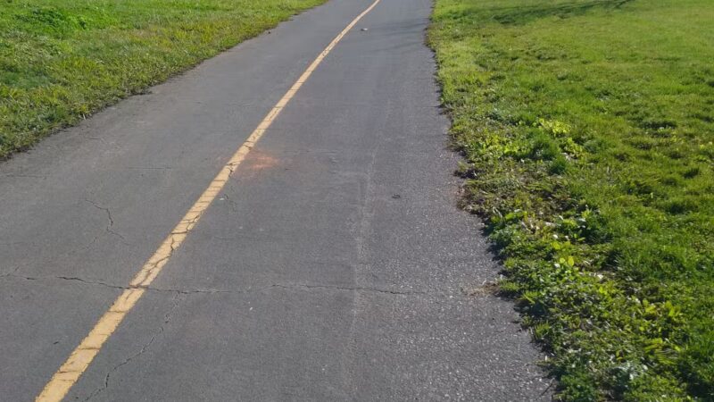 Dog Park - Regency Community Park - Sacramento, CA