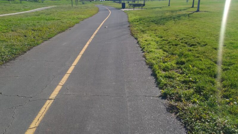 Dog Park - Regency Community Park - Sacramento, CA