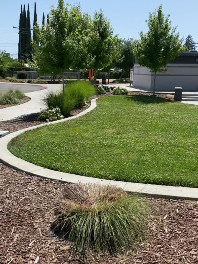 Eastern oak park - dog park - Sacramento, CA