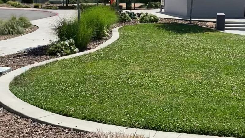 Eastern oak park - dog park - Sacramento, CA
