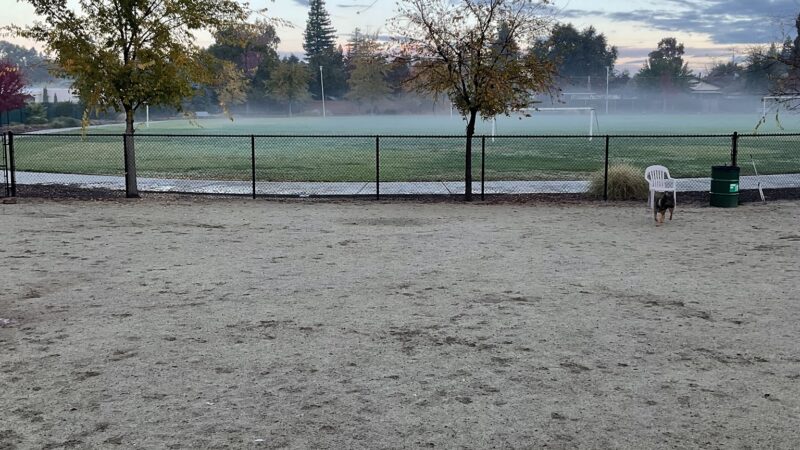Eastern oak park - dog park - Sacramento, CA