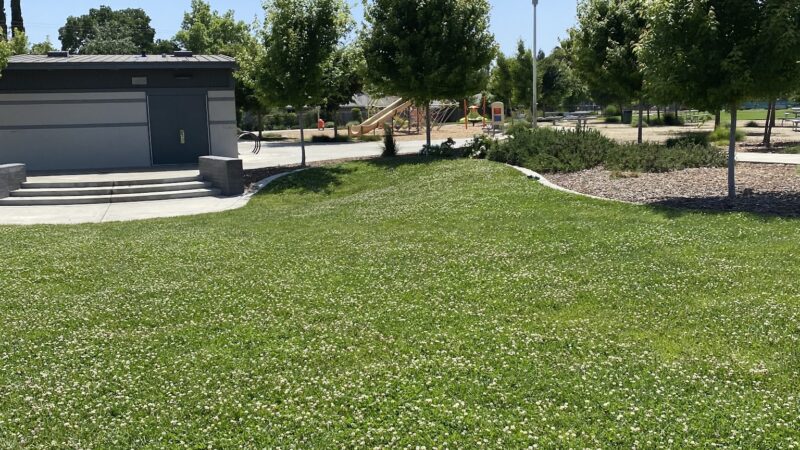 Eastern oak park - dog park - Sacramento, CA