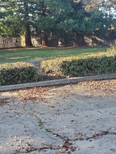 Florin Reservoir Park - Sacramento, CA