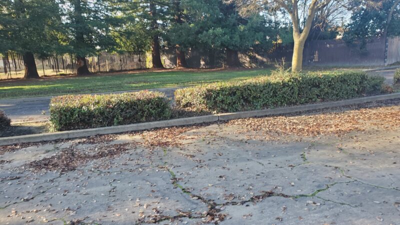 Florin Reservoir Park - Sacramento, CA