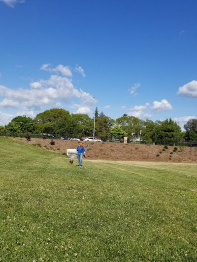 Franklin Boyce Community Park - Sacramento, CA