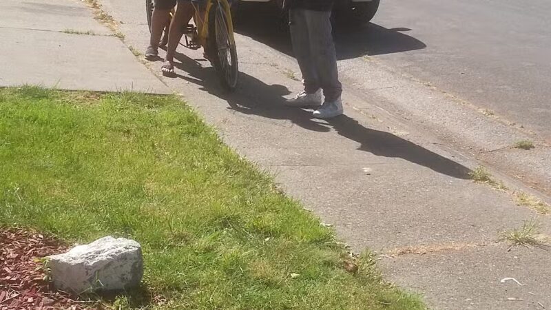 Franklin Boyce Community Park - Sacramento, CA