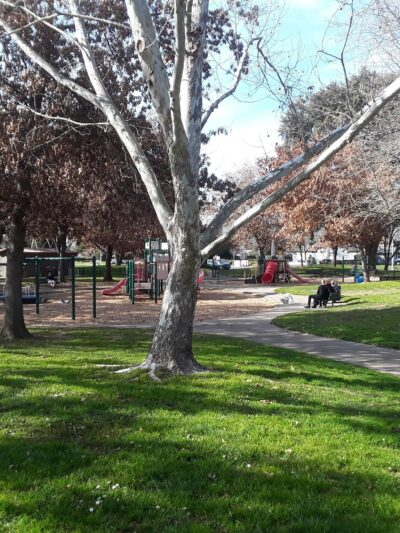 Glenbrook Park - Sacramento, CA