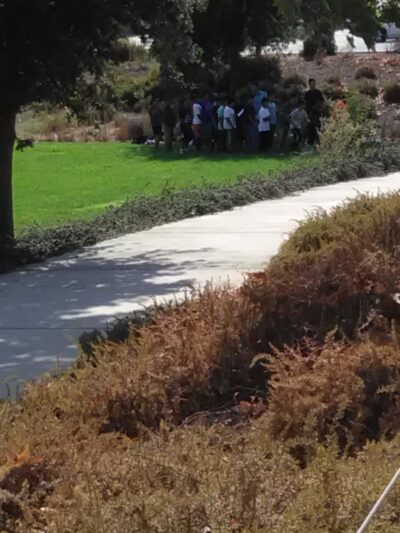 Hampton Park - Sacramento, CA