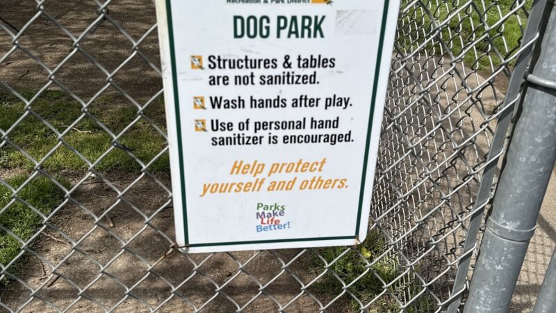 Howe Ave Park Off Leash Dog Park - Sacramento, CA