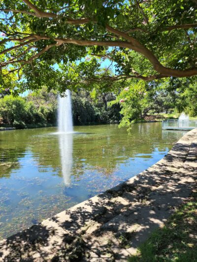 Howe Ave Park Off Leash Dog Park - Sacramento, CA