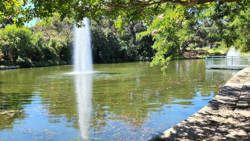 Howe Ave Park Off Leash Dog Park - Sacramento, CA