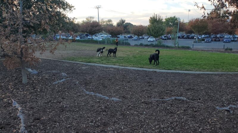 Lynn Robie Off-Leash Dog Park - Sacramento, CA