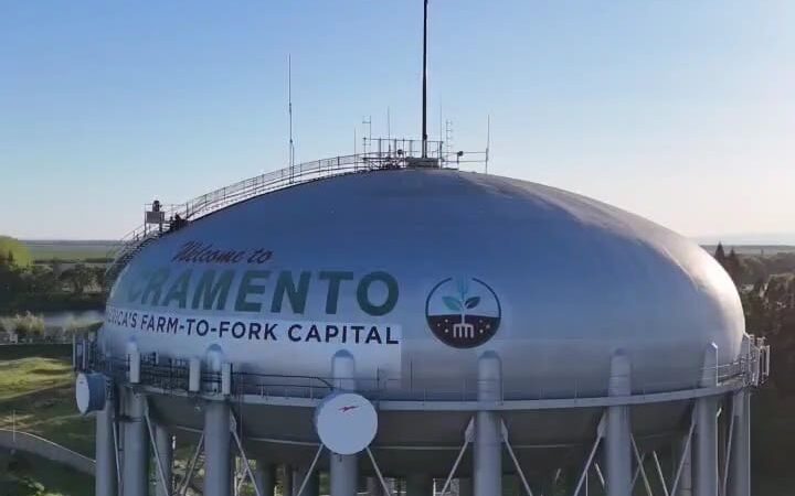 Lynn Robie Off-Leash Dog Park - Sacramento, CA