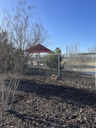 North Natomas Regional Dog Park - Sacramento, CA