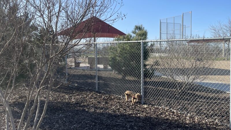 North Natomas Regional Dog Park - Sacramento, CA