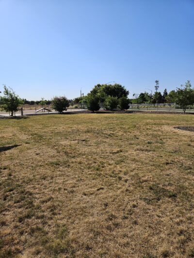North Natomas Regional Dog Park - Sacramento, CA