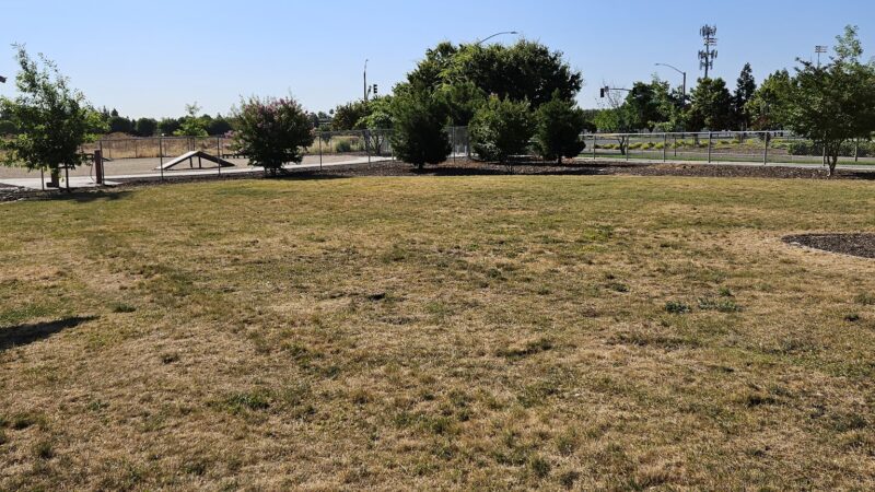 North Natomas Regional Dog Park - Sacramento, CA