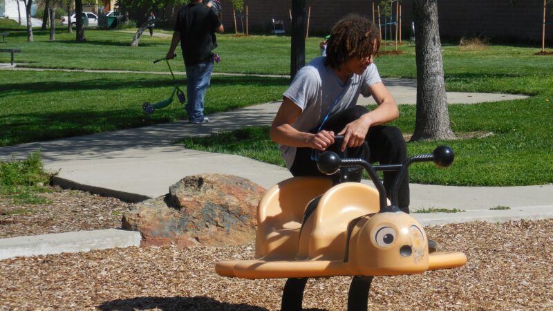 Robert Brookins Park - Sacramento, CA