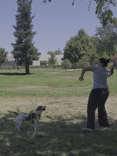 Sacramento County Animal Shelter Off Leash Dog Park - Sacramento, CA