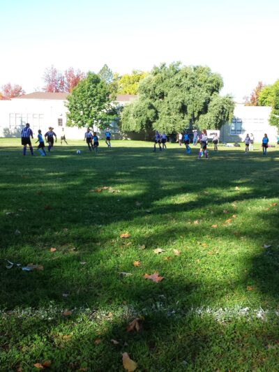 Sierra 2 Green - Sacramento, CA