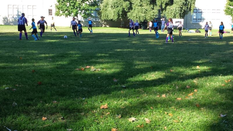 Sierra 2 Green - Sacramento, CA