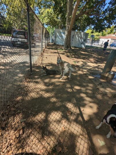 Sierra 2 Green - Sacramento, CA