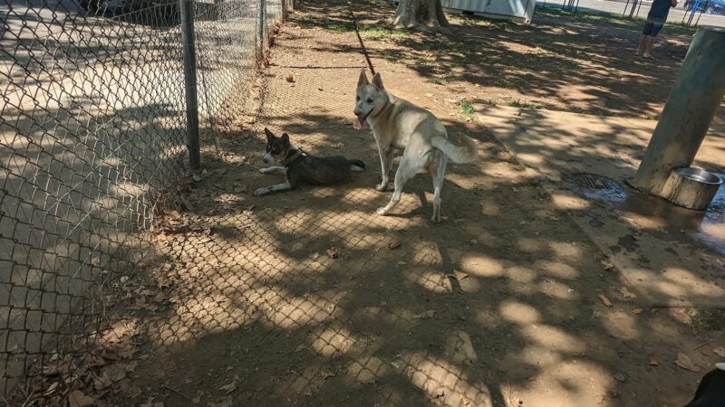 Sierra 2 Green - Sacramento, CA