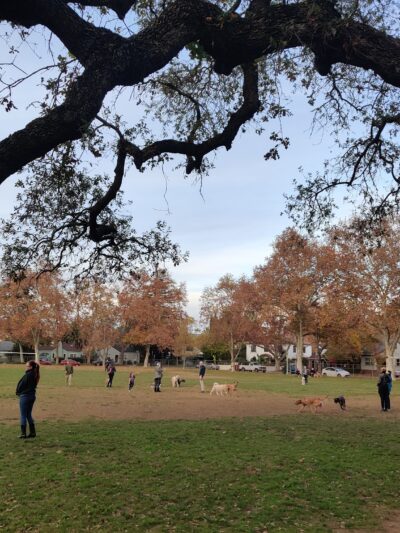 Sierra 2 Green - Sacramento, CA